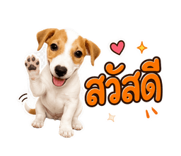 ตัวอย่างสติ๊กเกอร์: หมา Jack Russell "สวัสดี"